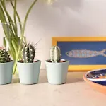 Lejlighed Two Bedroom Cozy Flat By River In Quiet Art Zone Lisboa