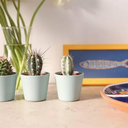 Apartament Two Bedroom Cozy Flat By River In Quiet Art Zone Lizbona